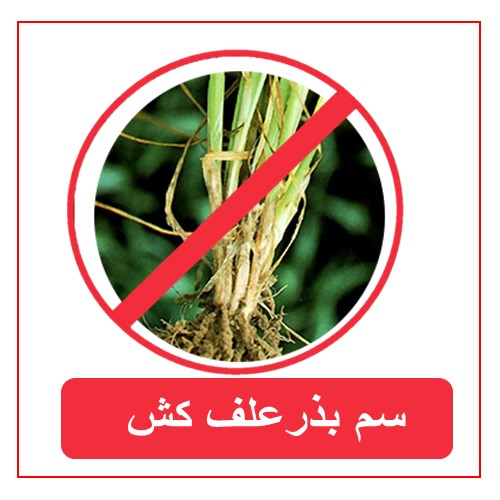 سموم بذر علف کش